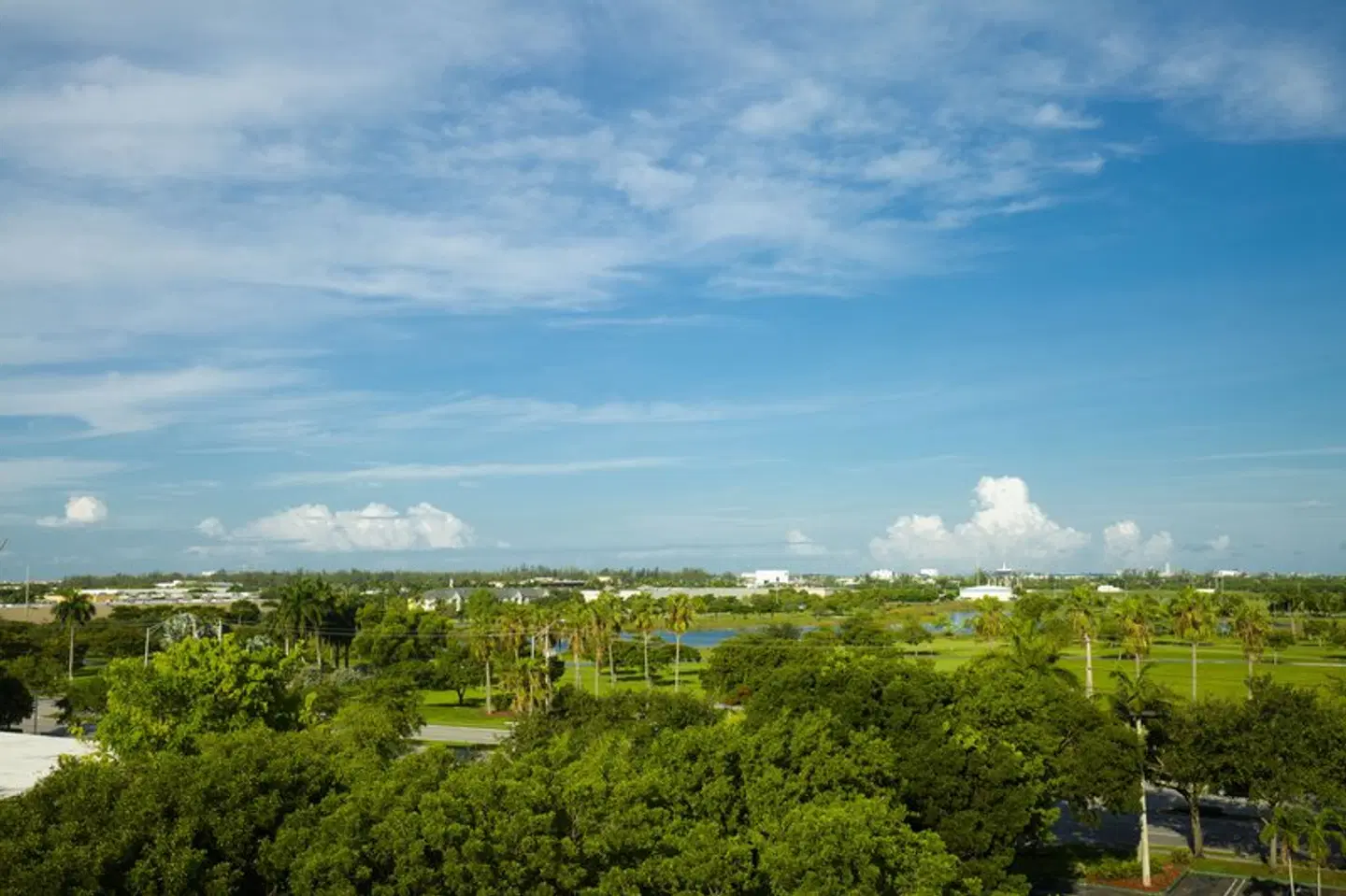 Staybridge Suites Miami Doral Area by IHG LANDSCAPE