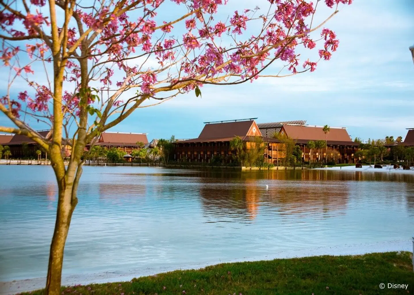 Disney's Polynesian Village Resort LANDSCAPE
