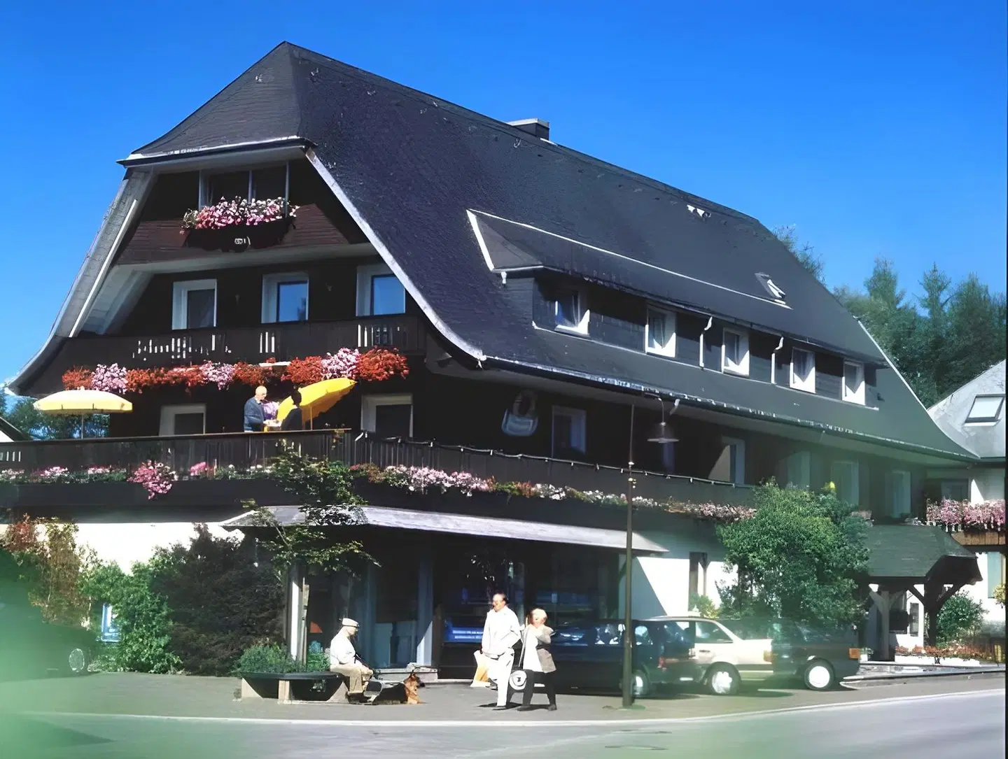 Silberdistel EXTERIOR