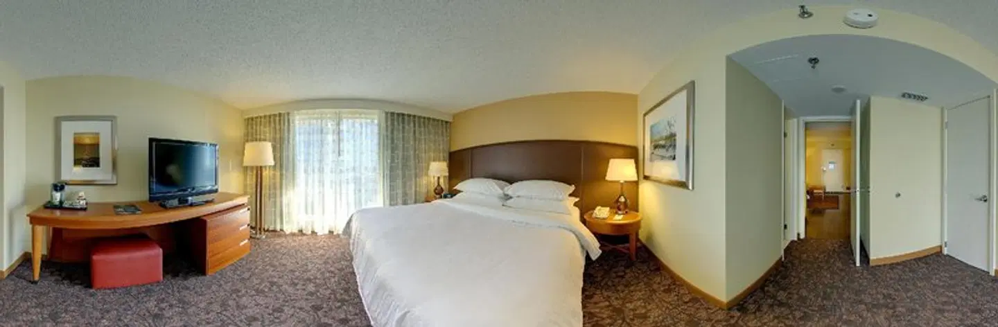 Four Points by Sheraton Suites Tampa Airport Westshore ROOM_EXAMPLE