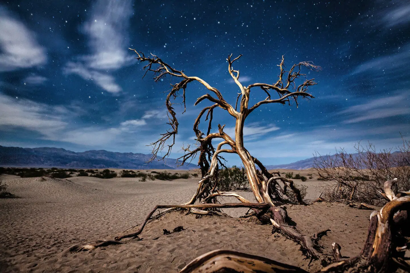 Kleingruppenreise Kalifornien entdecken LANDSCAPE