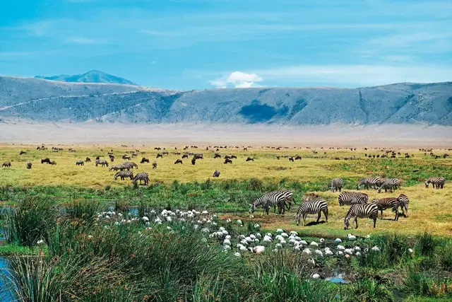 Tansania Pur LANDSCAPE