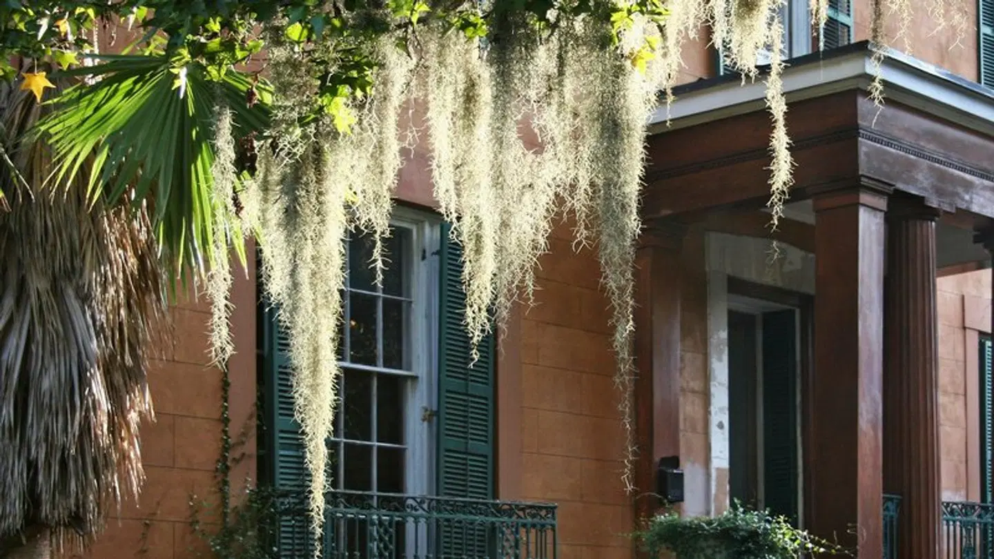Hotel Indigo Savannah Historic District by IHG EXTERIOR