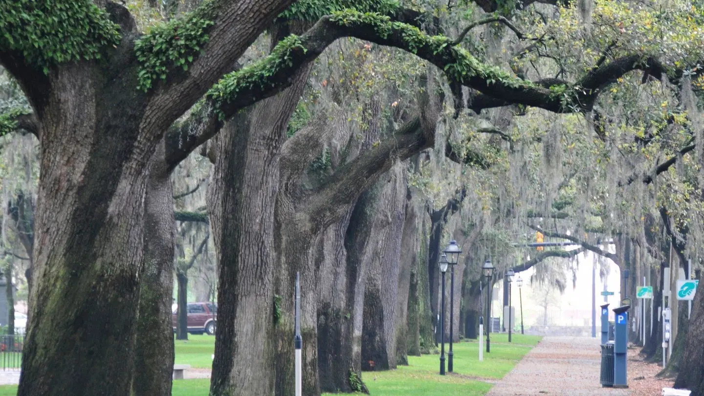 Hotel Indigo Savannah Historic District by IHG EXTERIOR