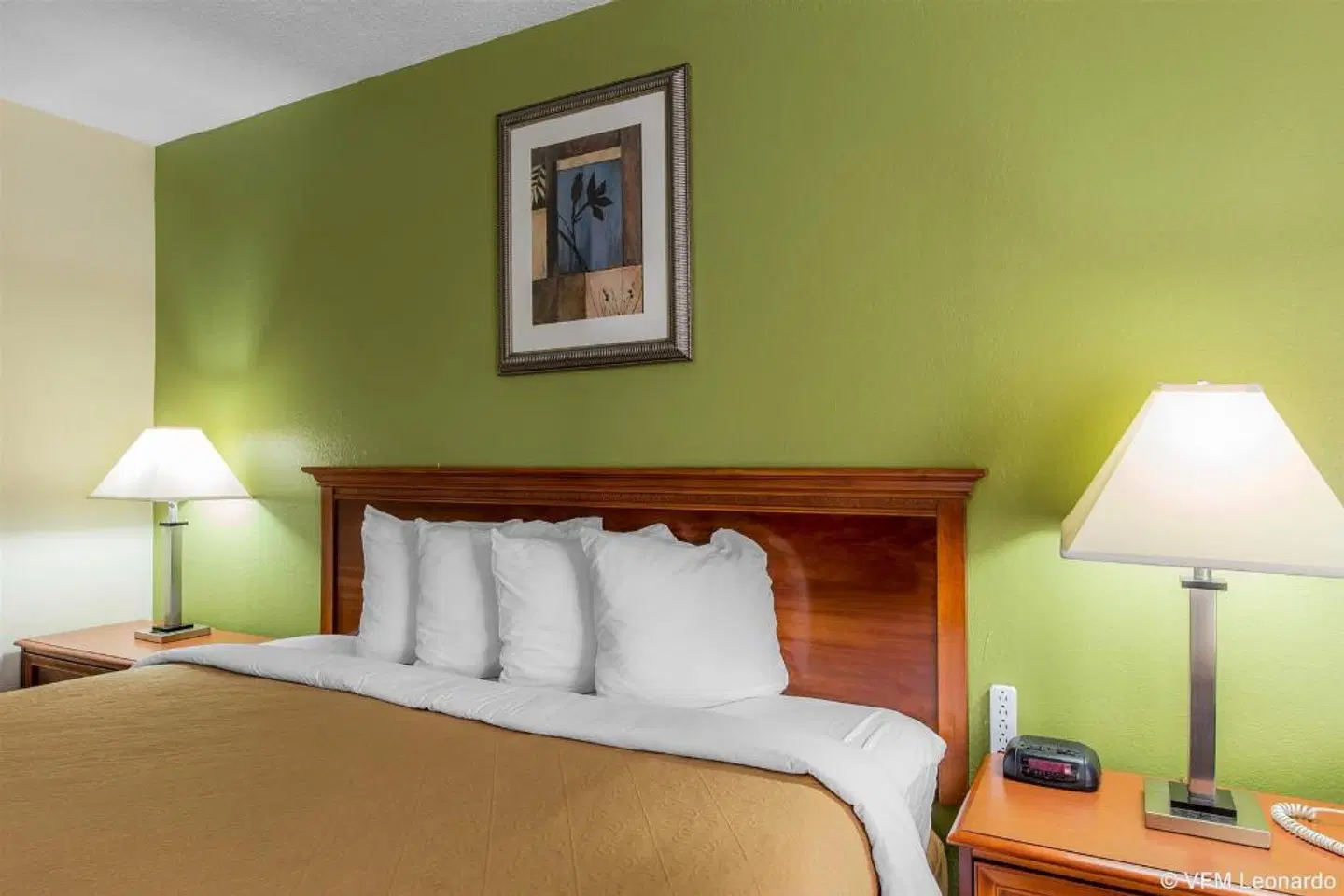 Quality Inn Midtown Savannah ROOM_EXAMPLE