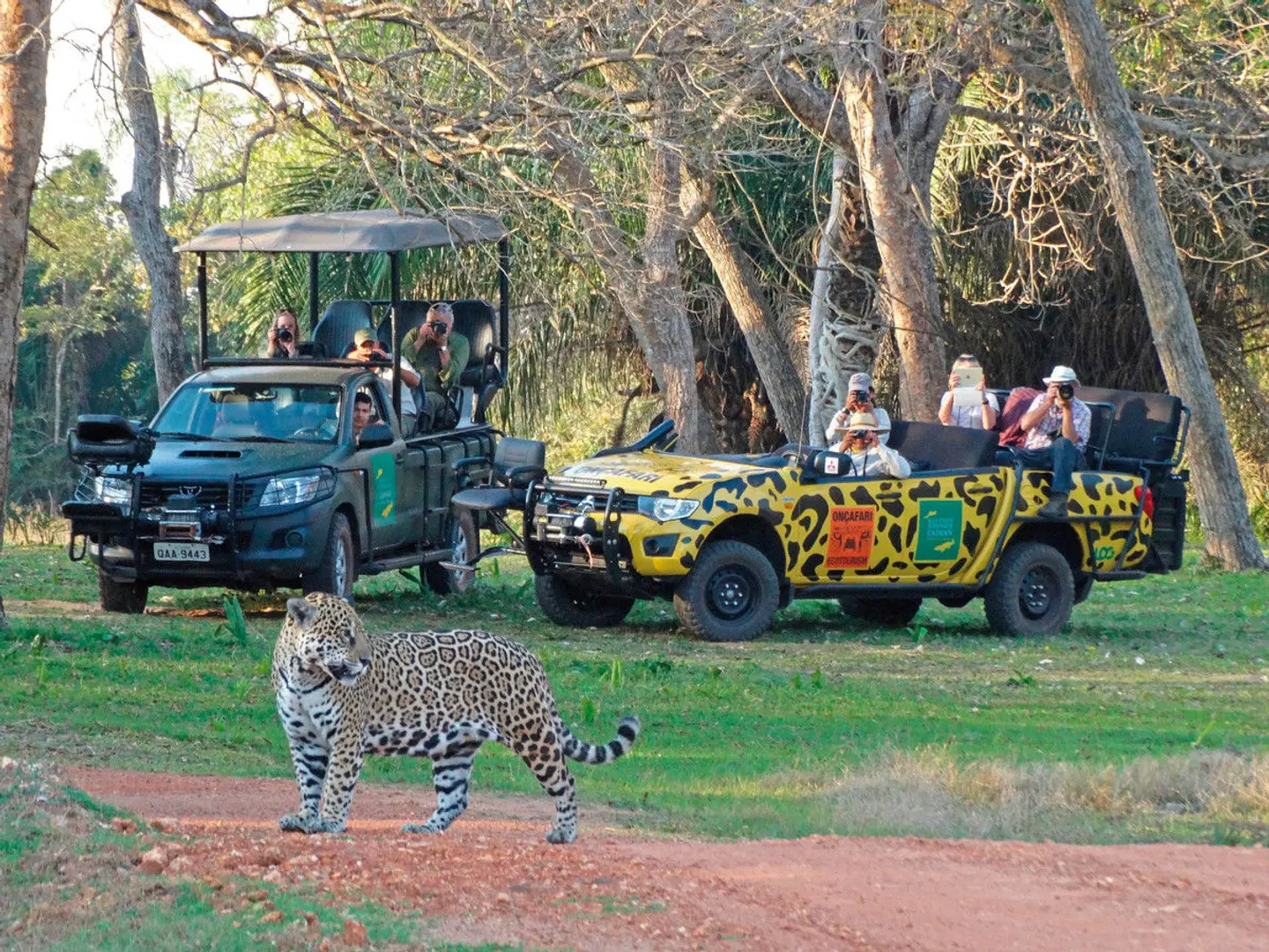 Faszinierendes Naturerlebnis Pantanal Garten