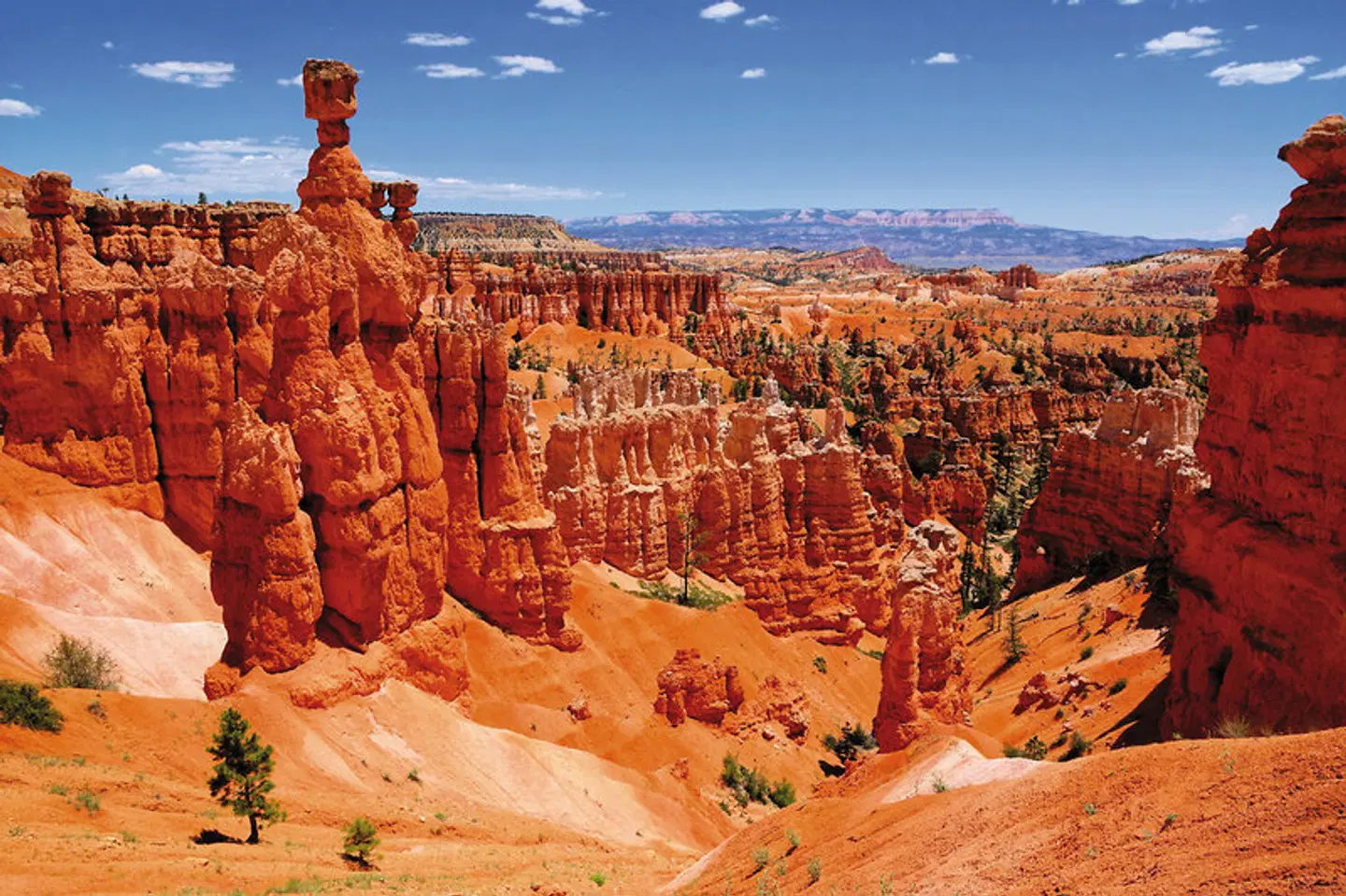Quer durch die USA LANDSCAPE