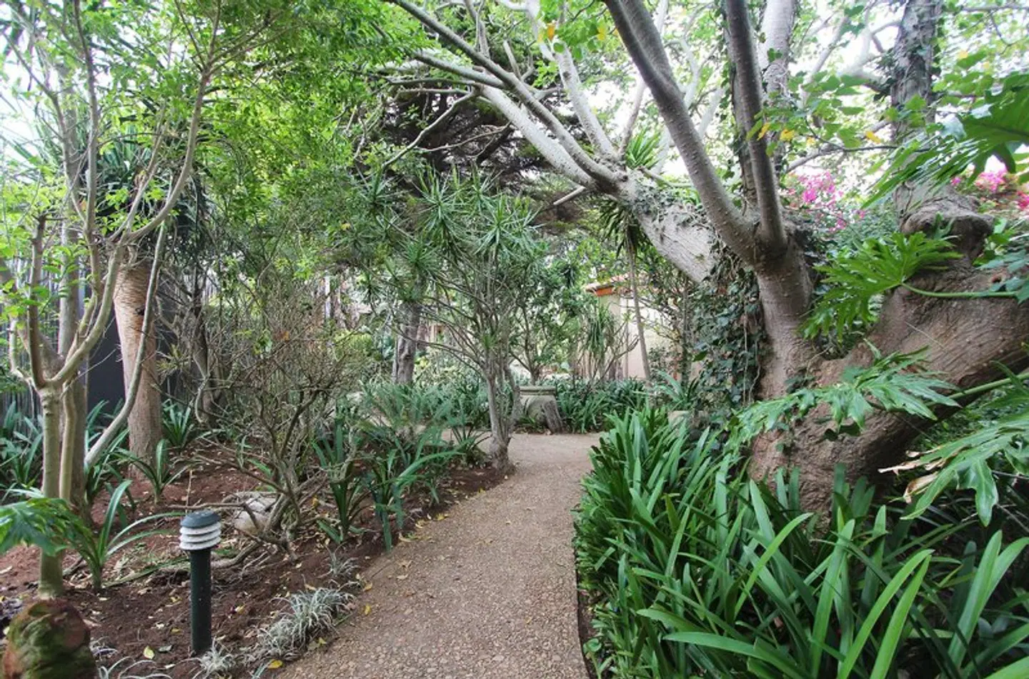 Singa Town Lodge Garten