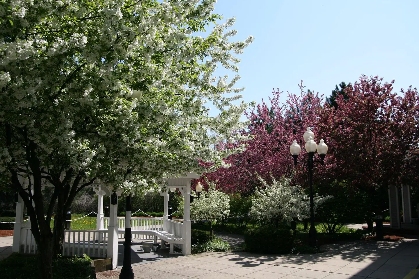 Hampton Inn Colchester Garten