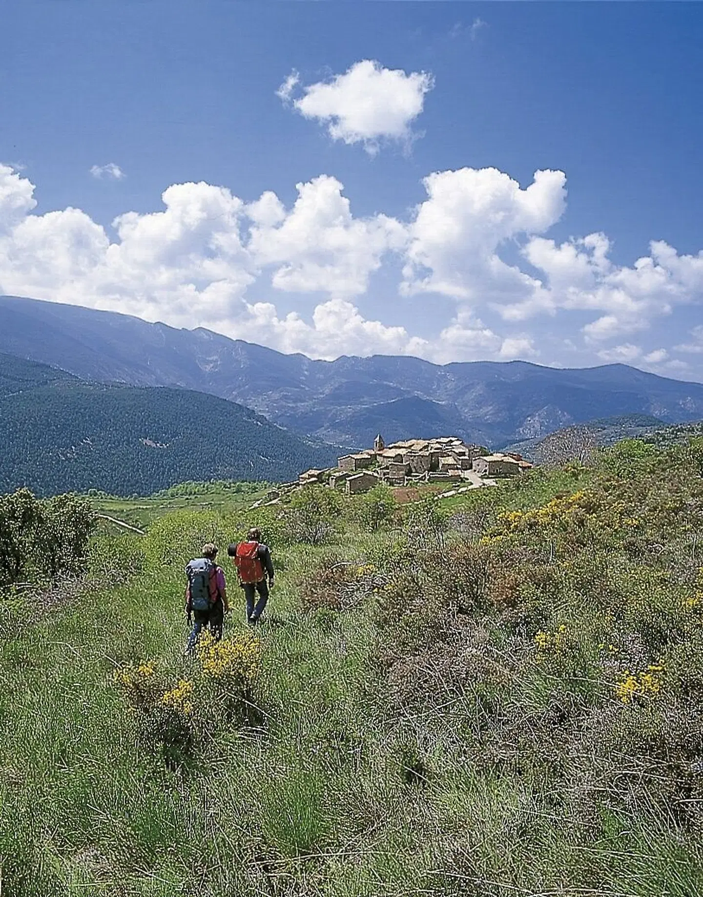 Wandern auf dem Jakobsweg - Die portugiesische Route an der Küste intensiv LANDSCAPE