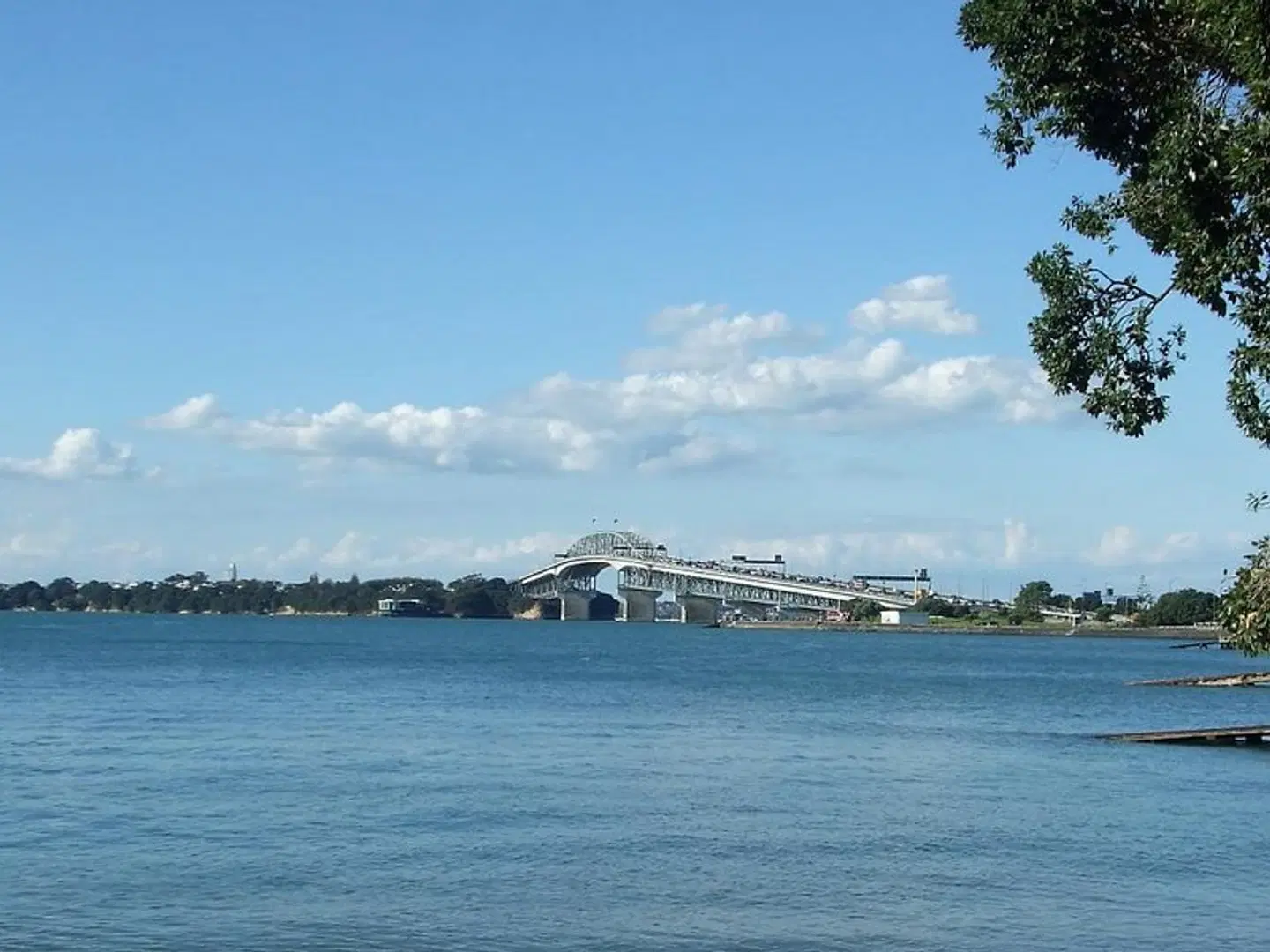 Arthotel The Great Ponsonby LANDSCAPE