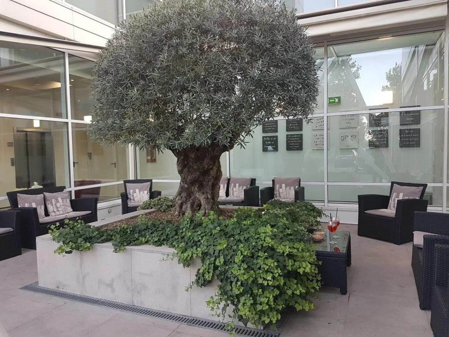 Carpi EXTERIOR
