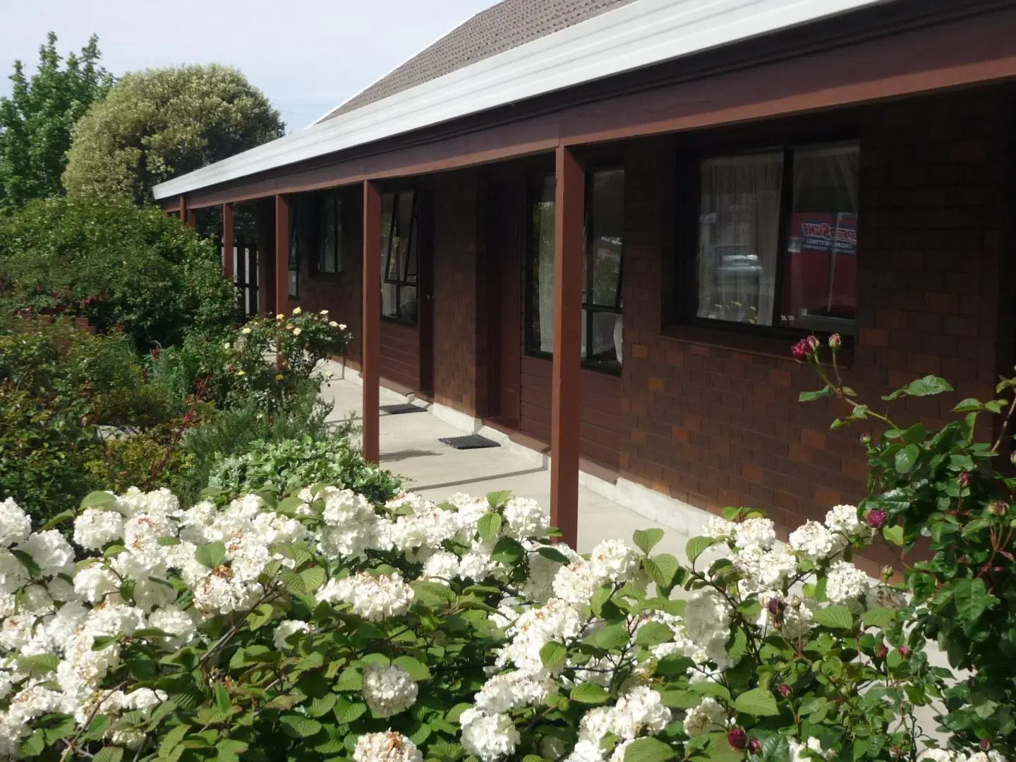 Carisbrook Motel GARDEN