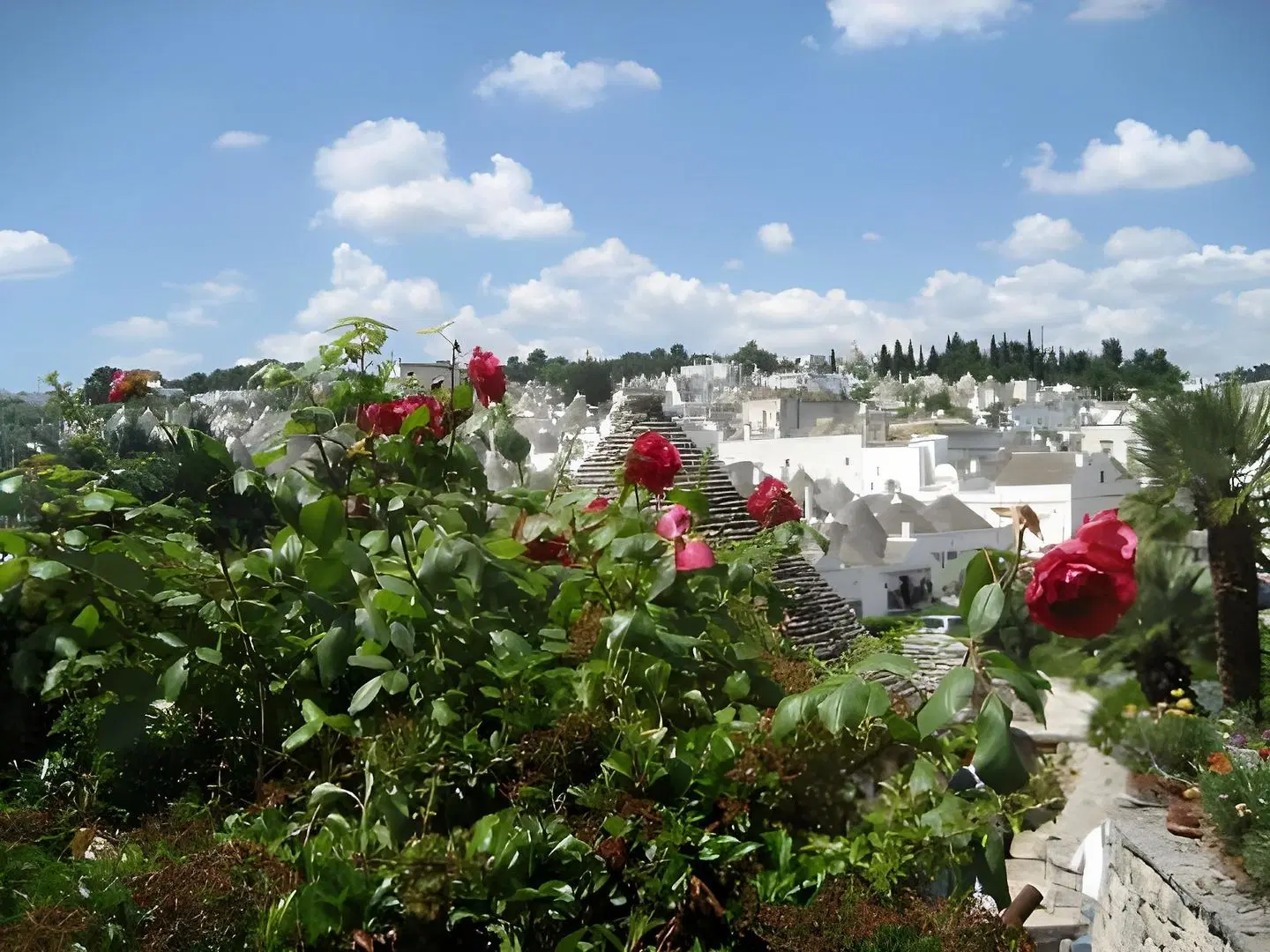 Trulli e Puglia Resort LANDSCAPE