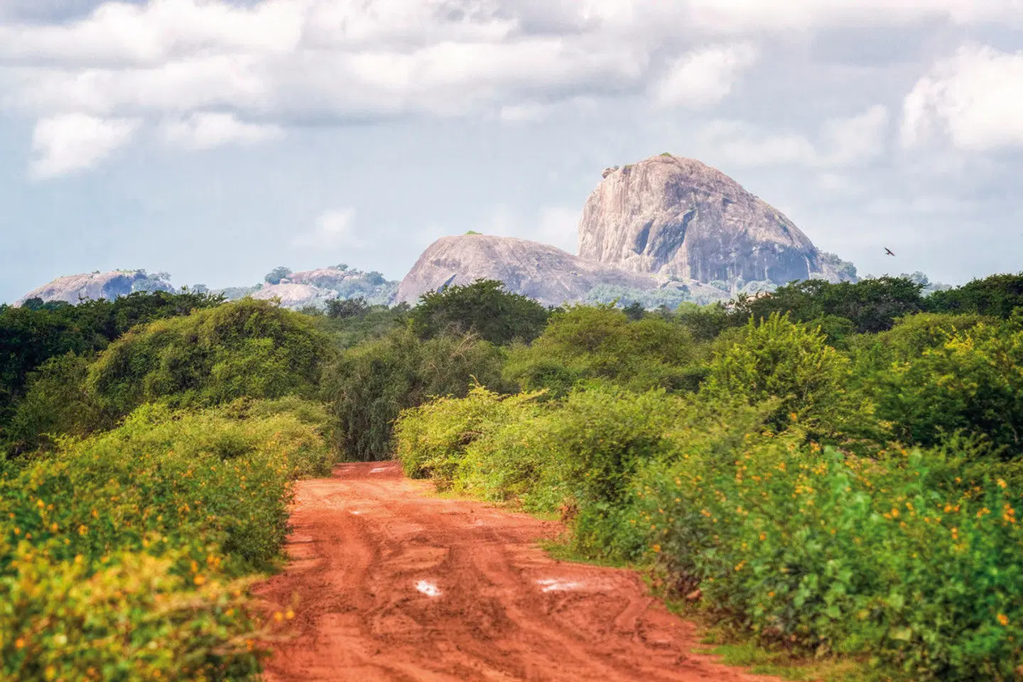 Sri Lanka für Genießer LANDSCAPE
