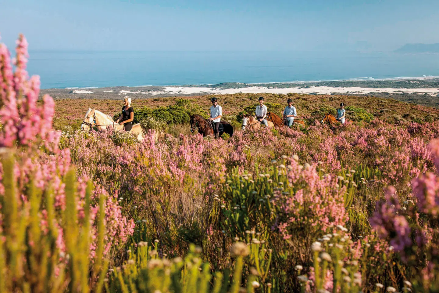 Südafrika für Genießer LANDSCAPE