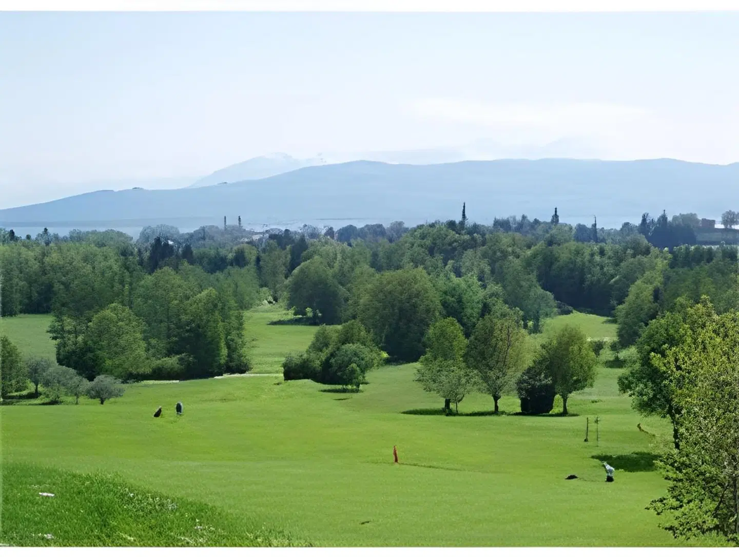 Adler LANDSCAPE