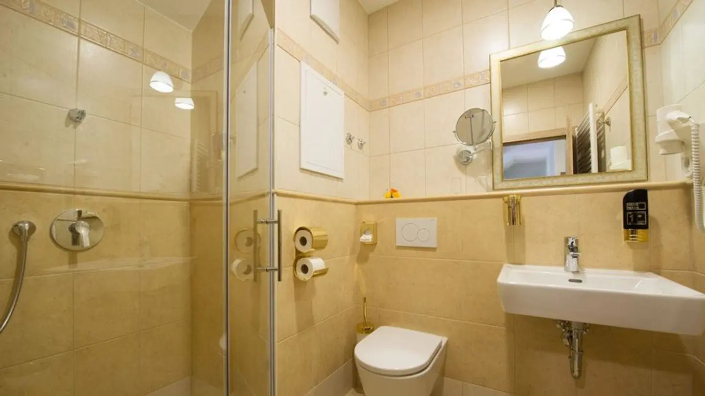 Hotel Rebstock BATHROOM