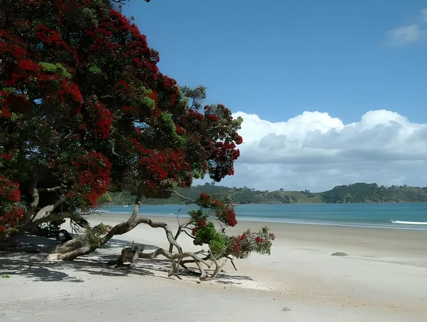 Onetangi Beach Apartments Strand