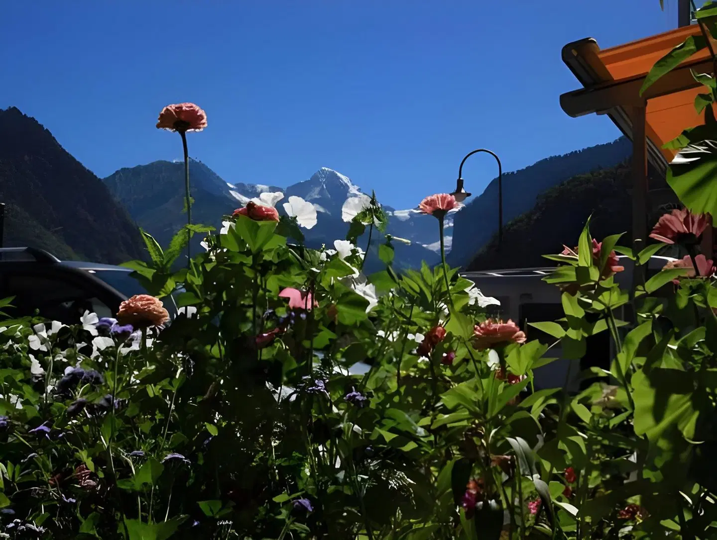 Chalet-Gafri LANDSCAPE