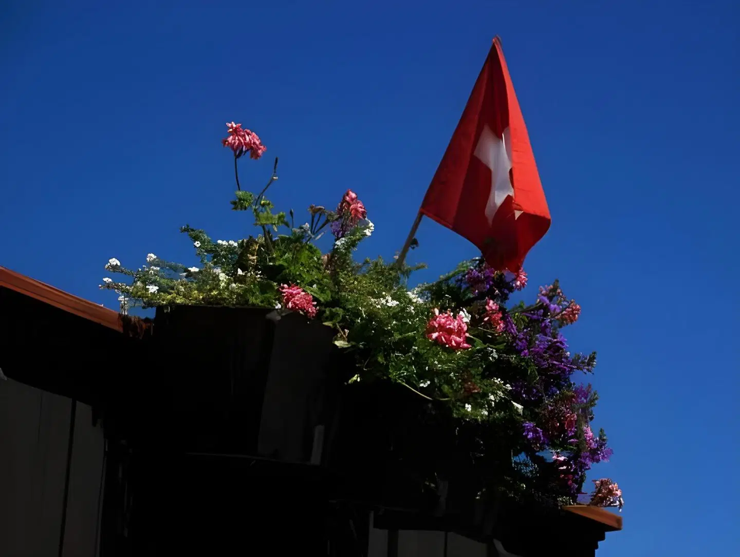 Chalet-Gafri Terrasse