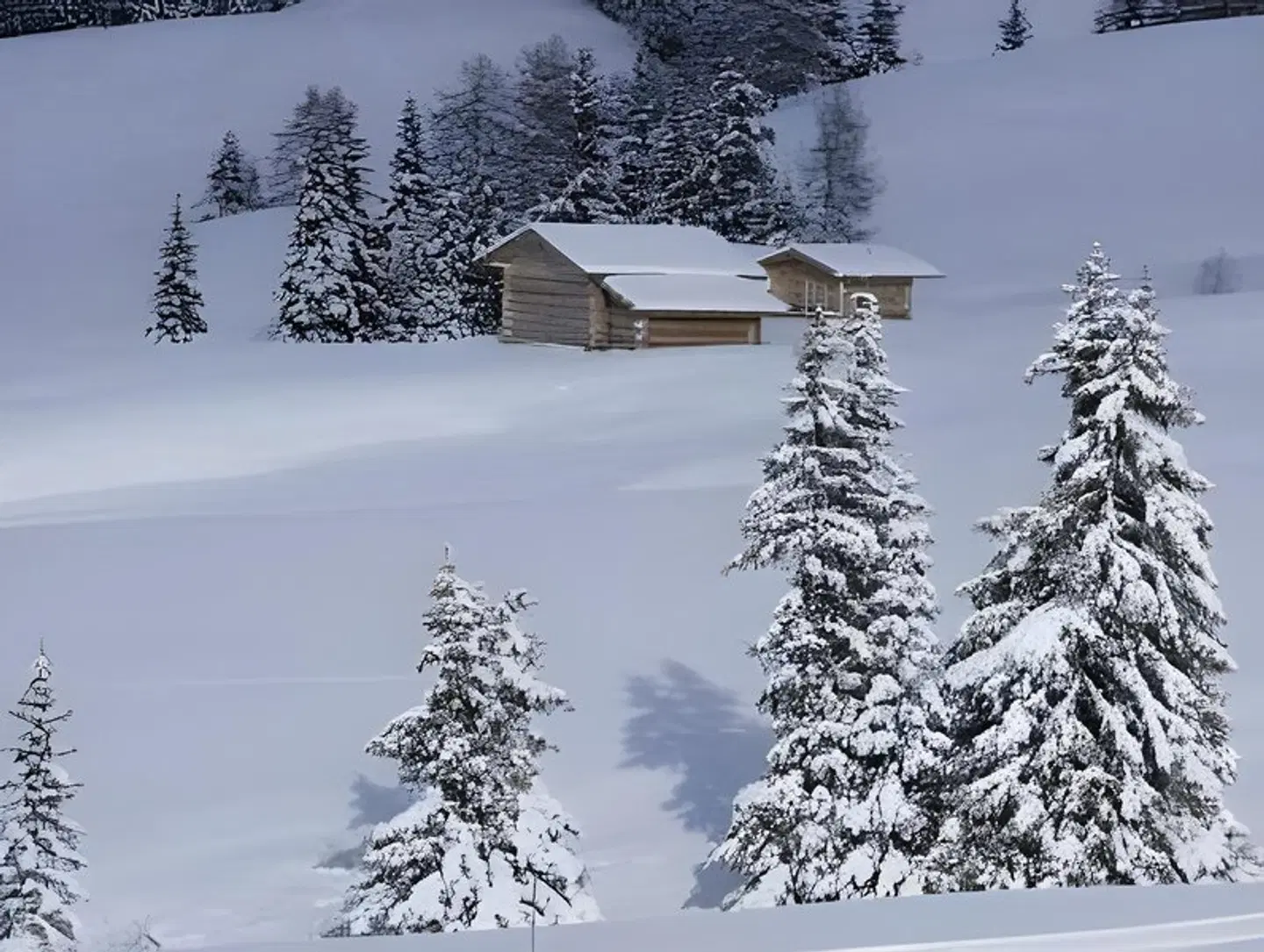 B&B Grafenstein LANDSCAPE