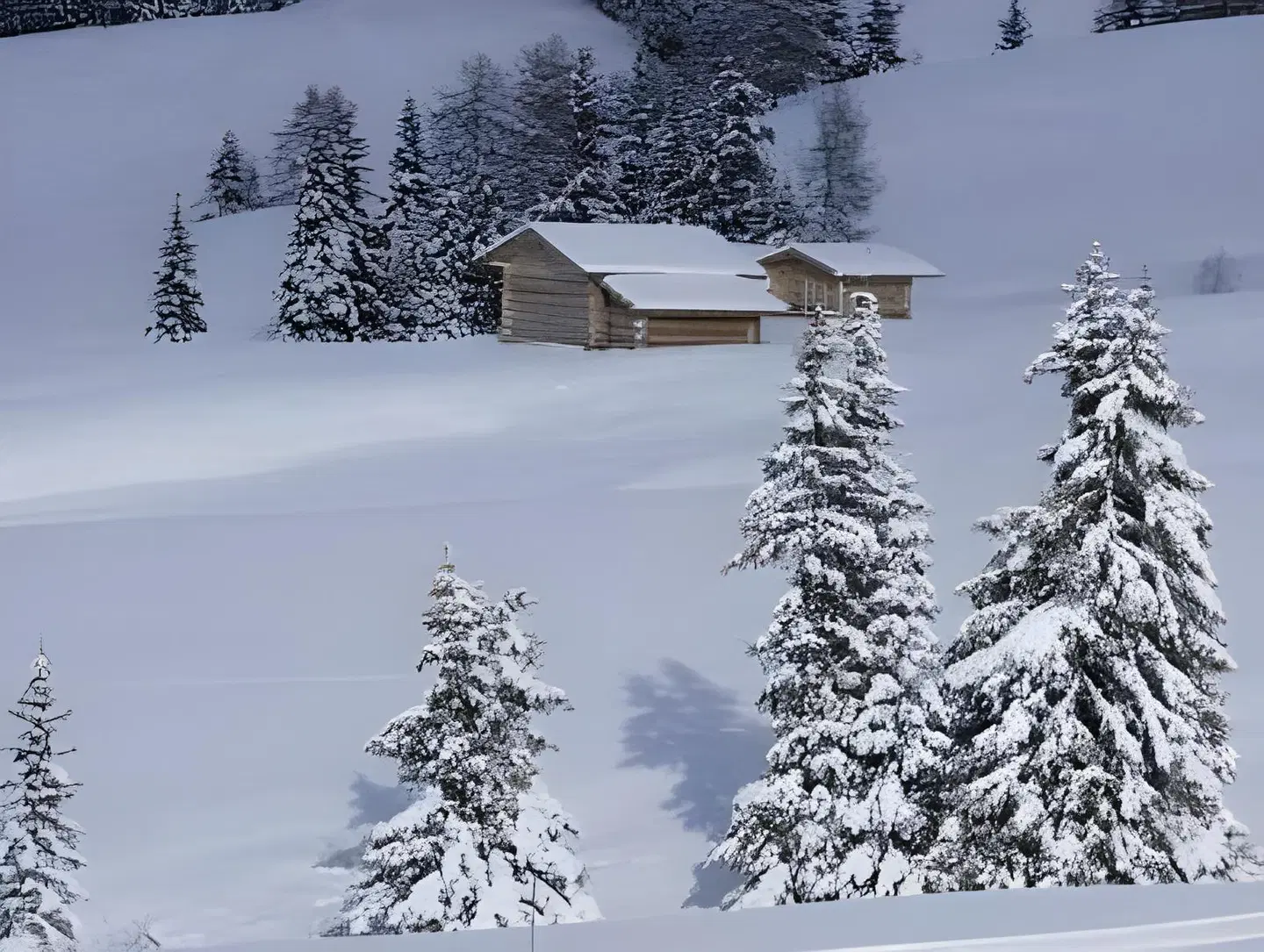 B&B Grafenstein LANDSCAPE