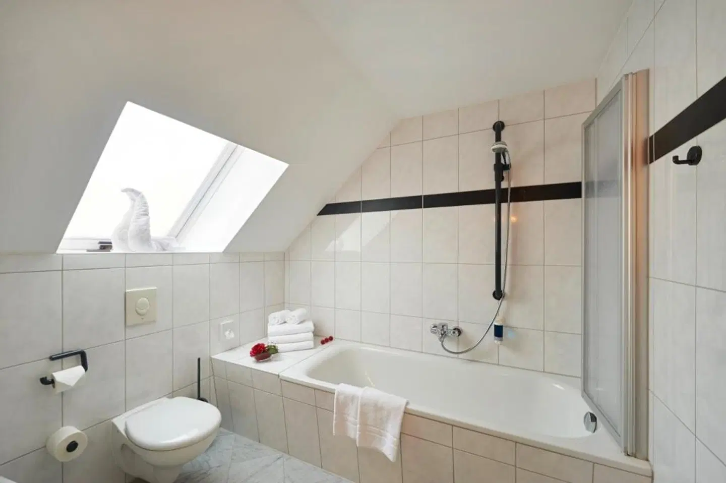 Apparthotel Steiger Bad Schandau Badezimmer