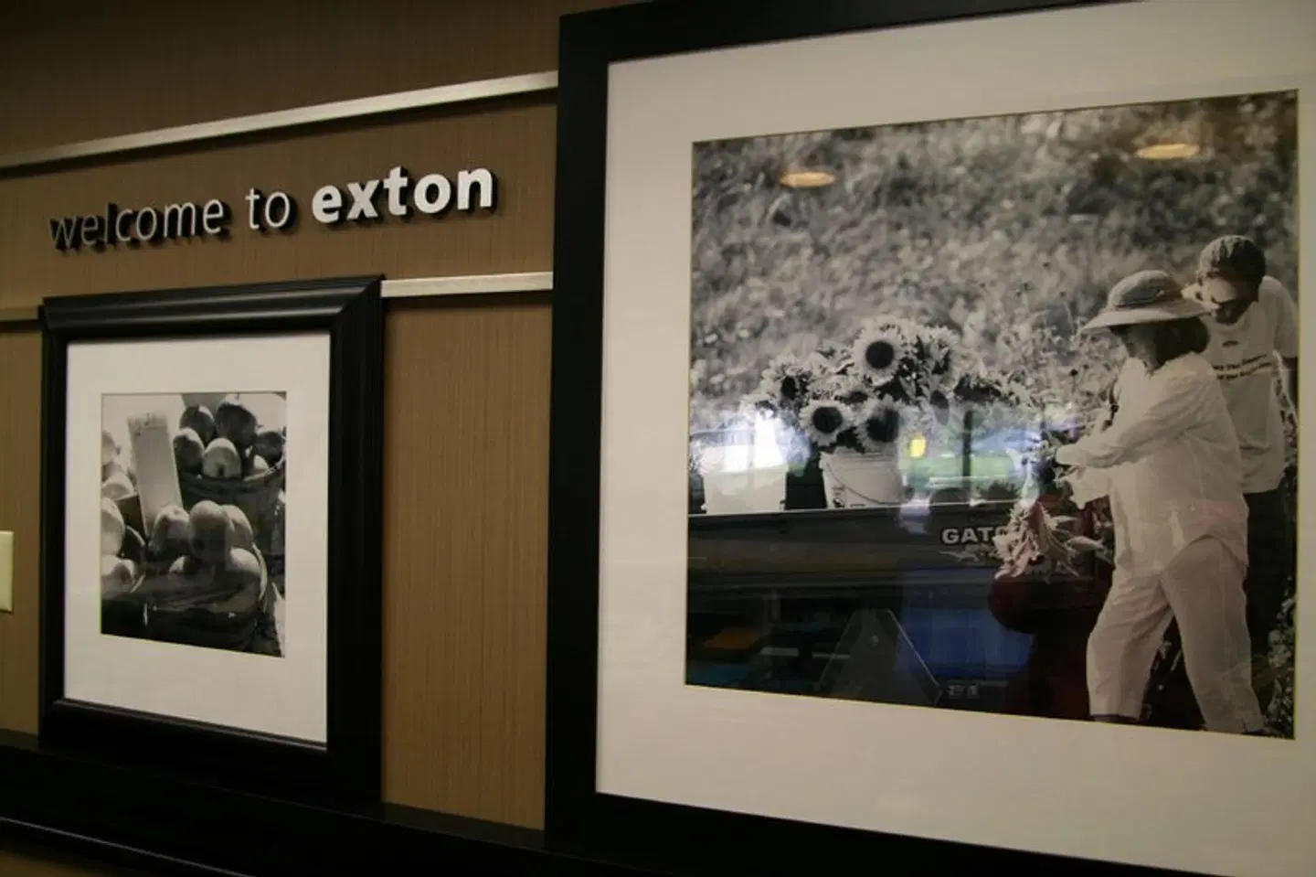 Hampton Inn Downingtown/Exton LOUNGE_LOBBY