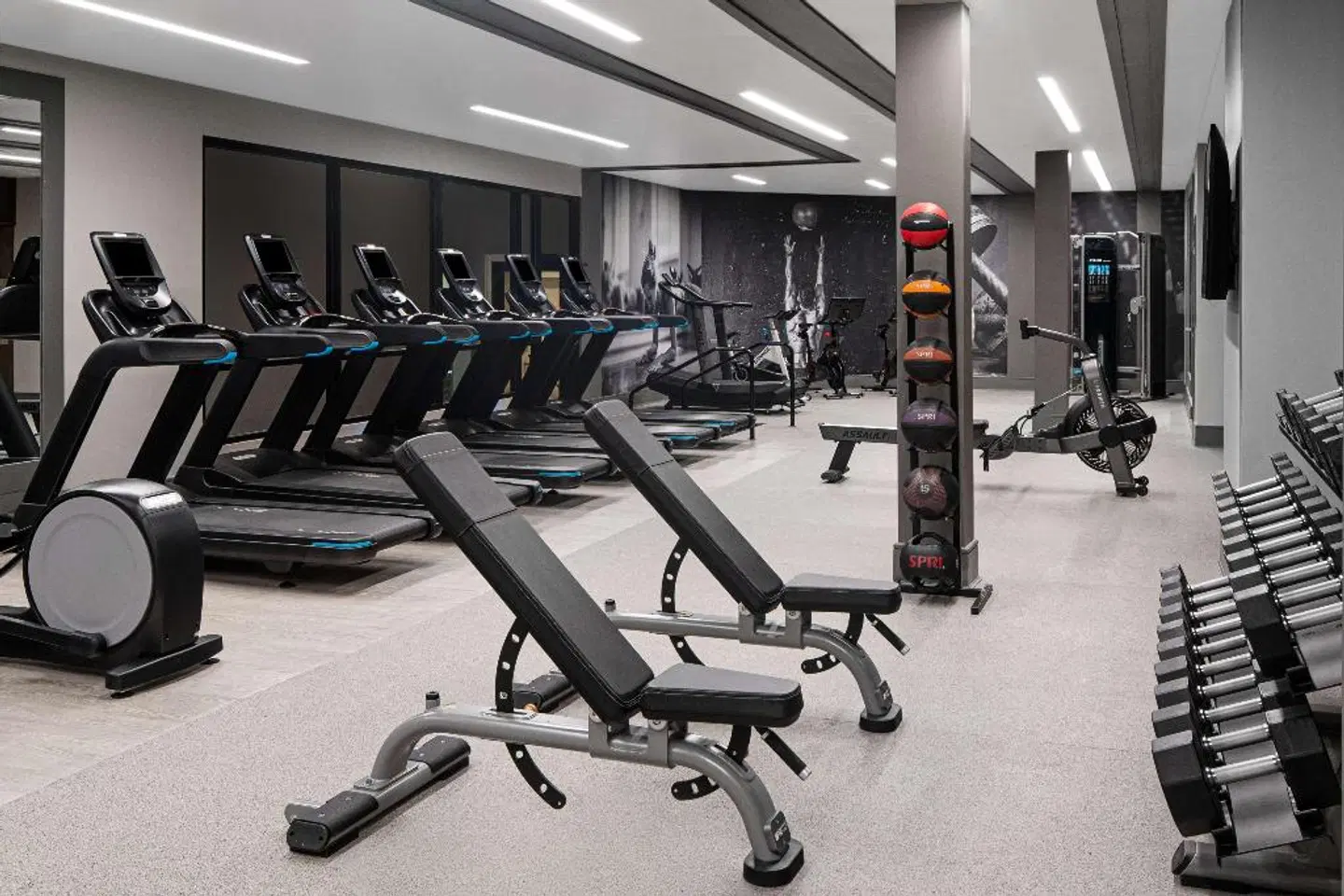 the Alloy King of Prussia - a DoubleTree by Hilton SPORTS_AND_LEISURE