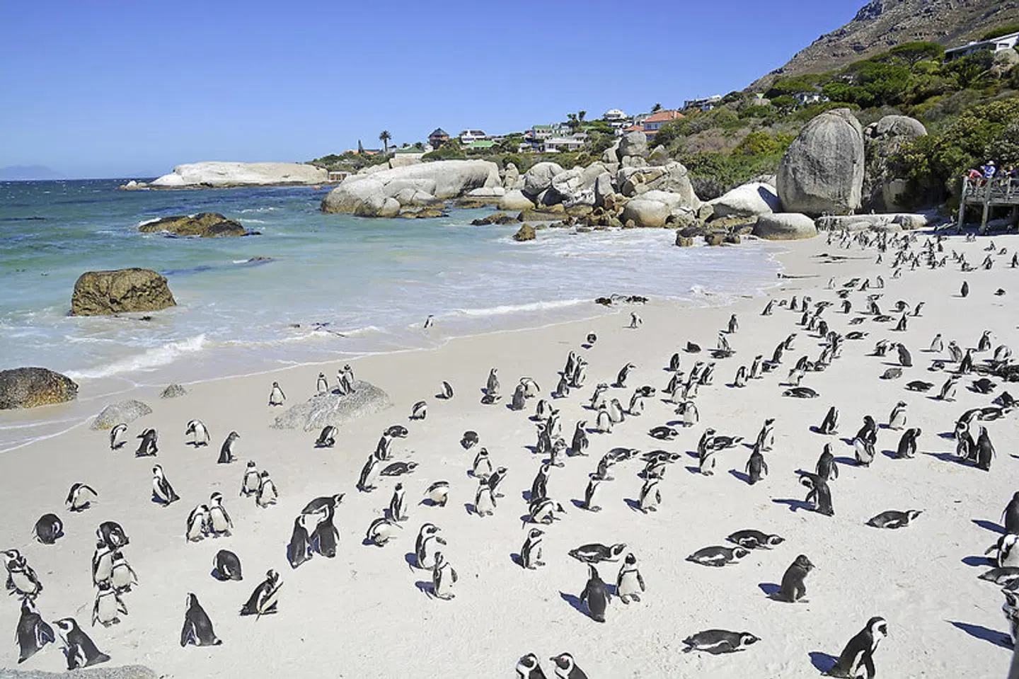 Go4South Africa - Erlebnisreise für die ganze Familie Strand