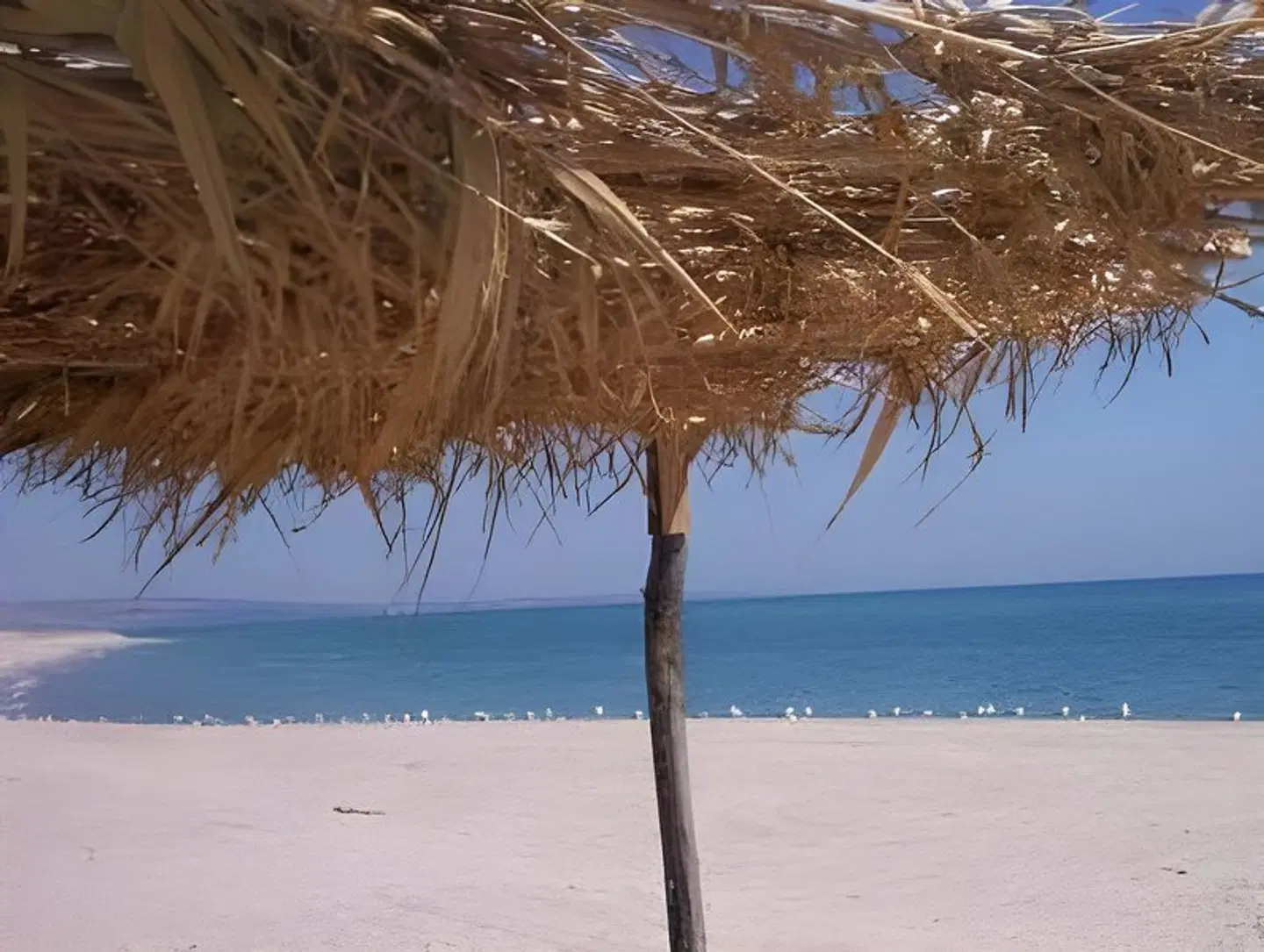 Onda Bleu BEACH