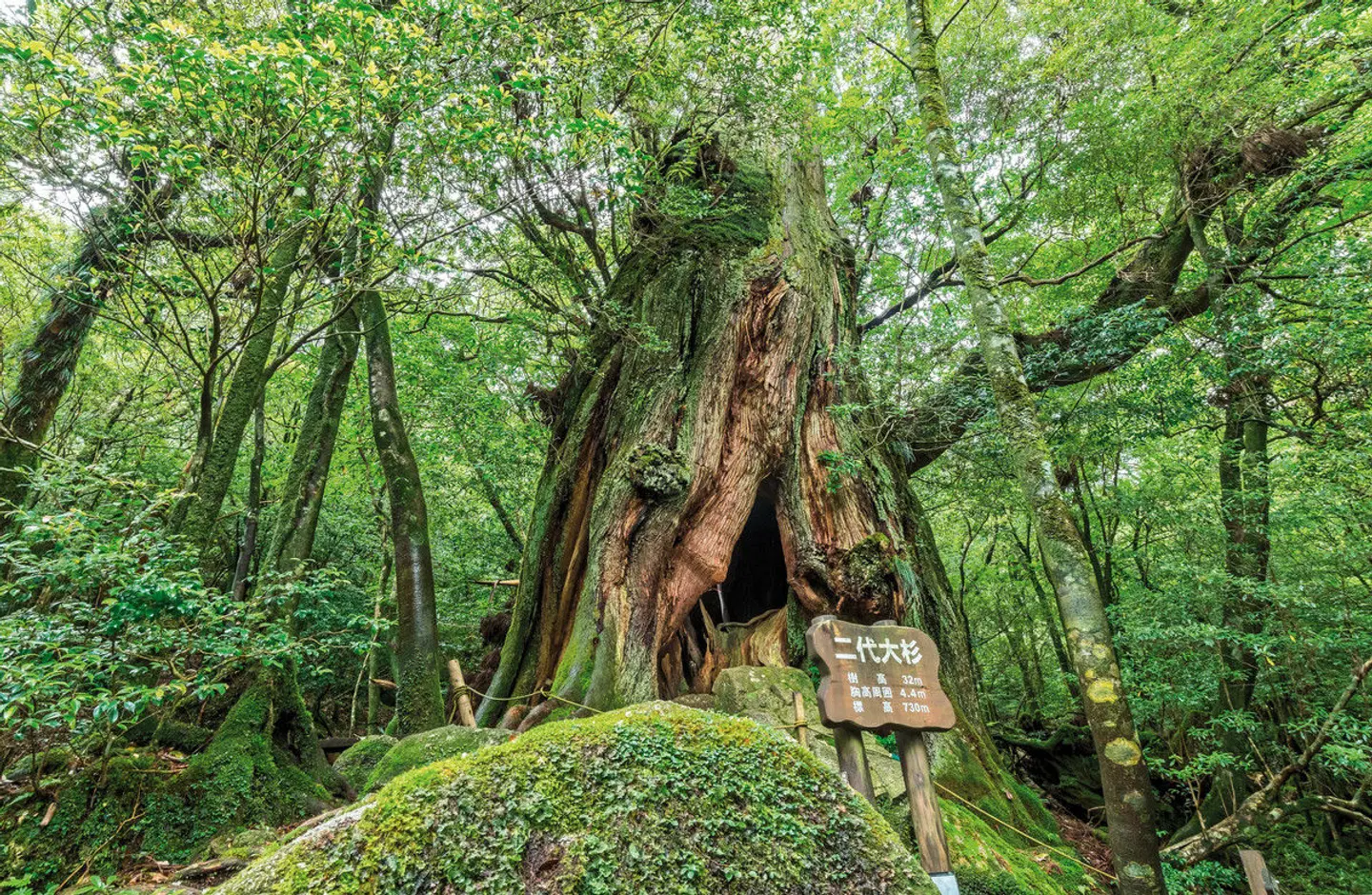 Malerisches Japan - Natur und Kultur vom Feinsten (inkl. Flug) LANDSCAPE