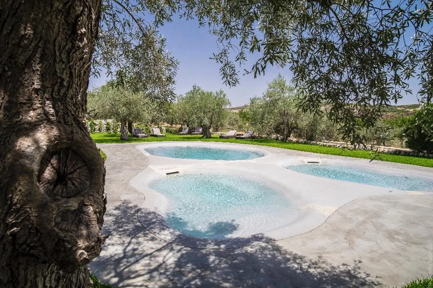 Masseria Degli Ulivi OUTDOOR_POOL