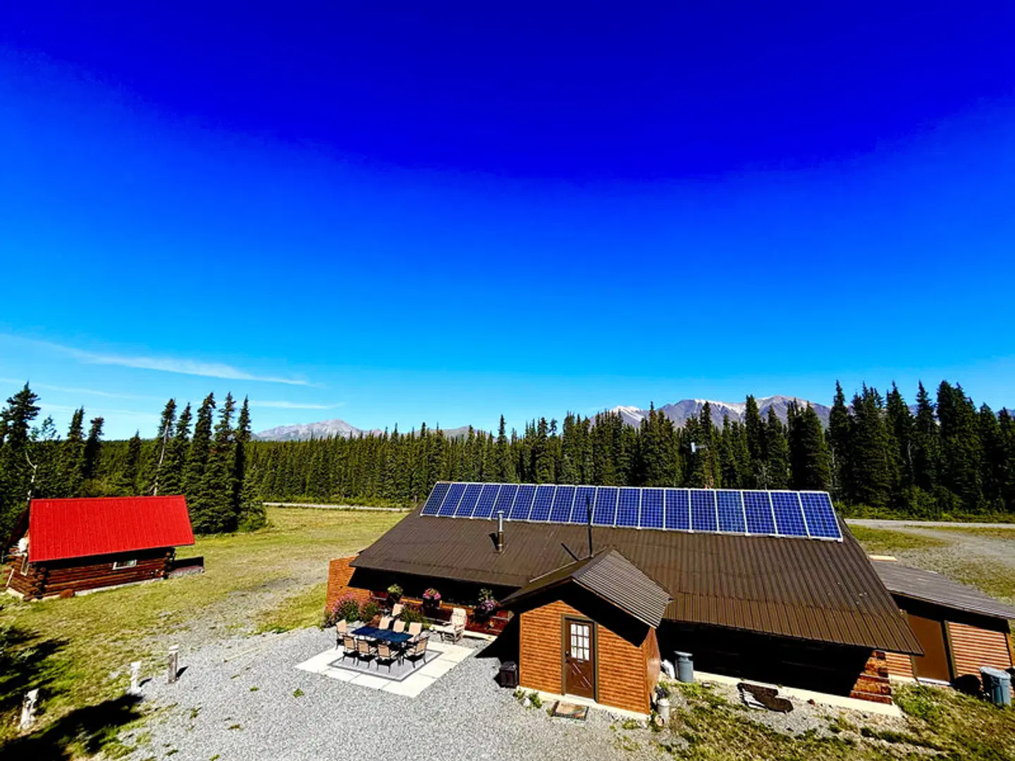 Avens Alaska Strand