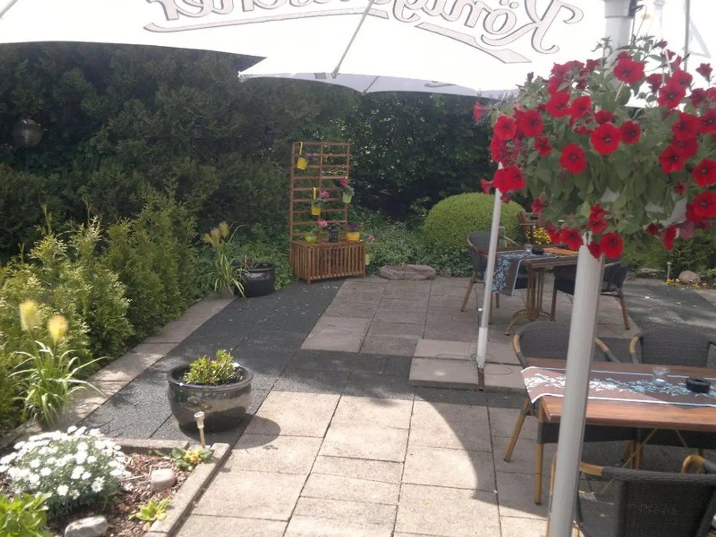 Seegarten Hotel Restaurant Terrasse