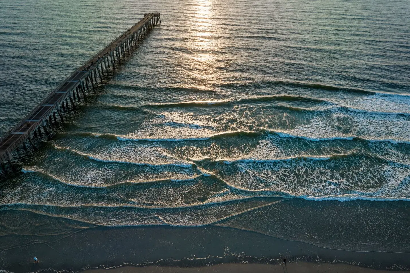 Springhill Suites By Marriott Jacksonville Beach Oceanfront LANDSCAPE