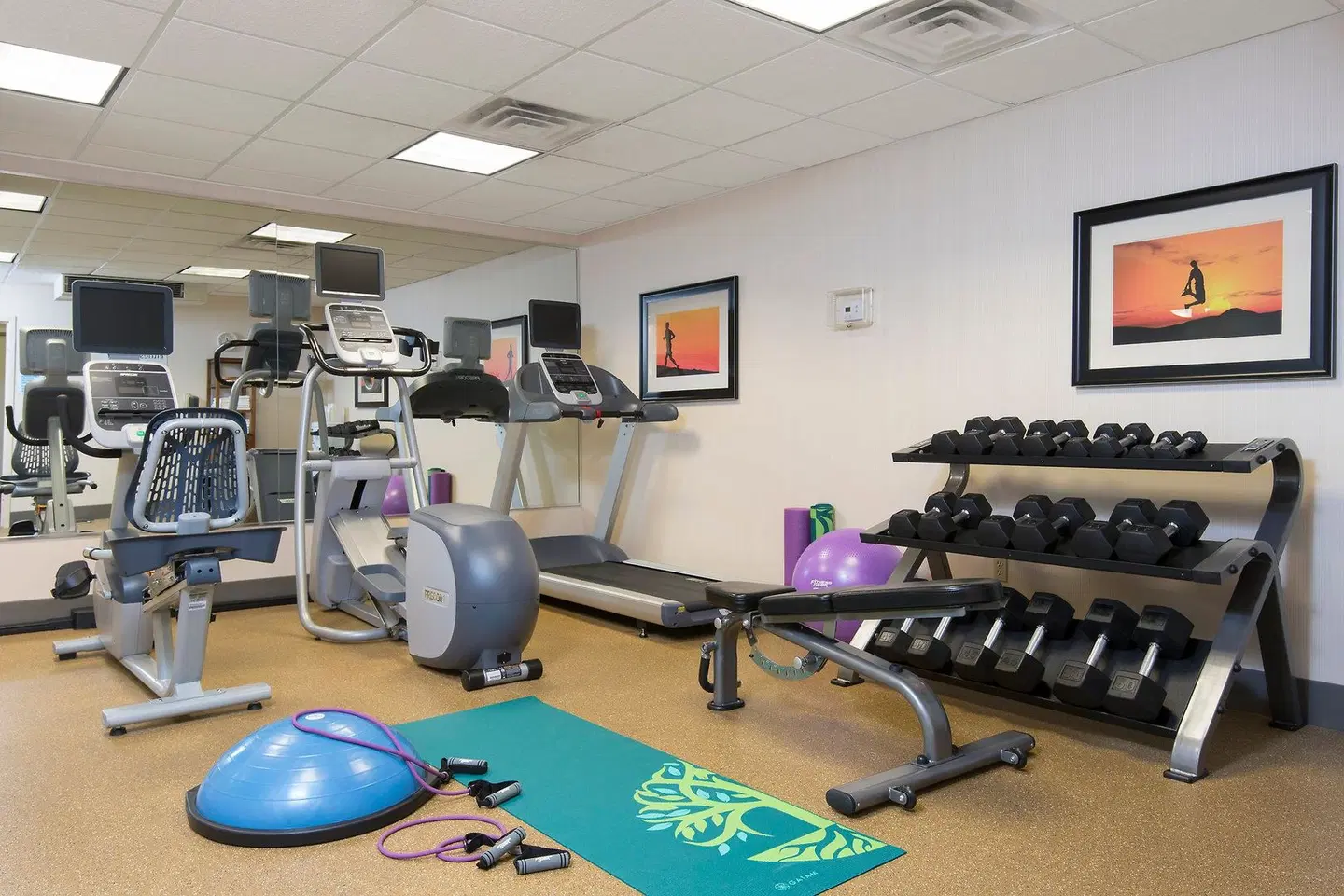 Holiday Inn Express & Suites Grand Rapids-North by IHG SPORTS_AND_LEISURE