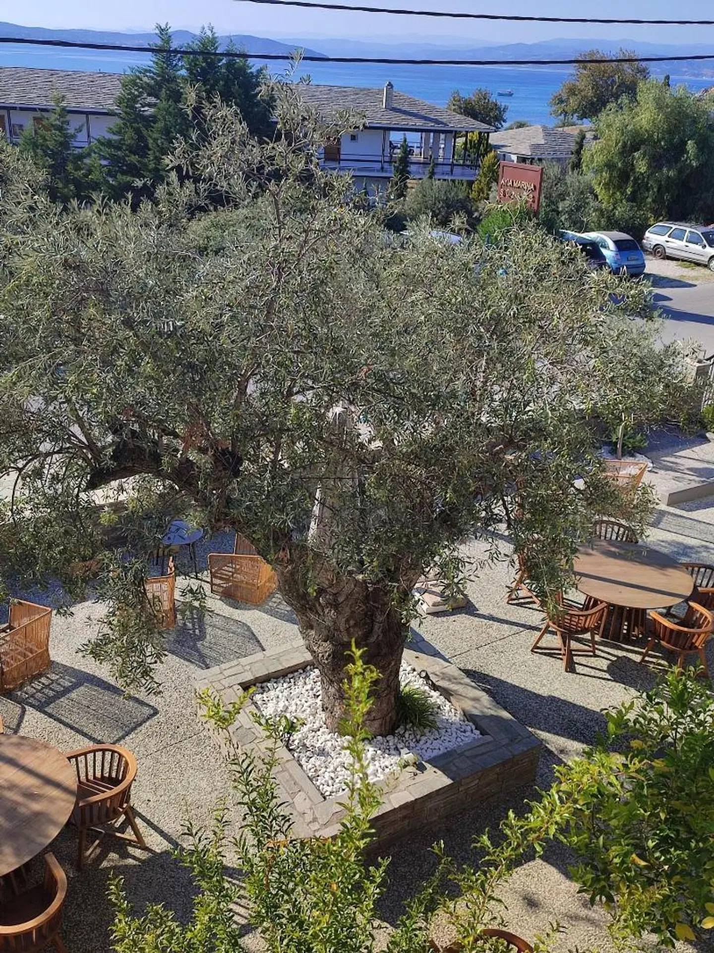 Ayia Marina Suites Garten