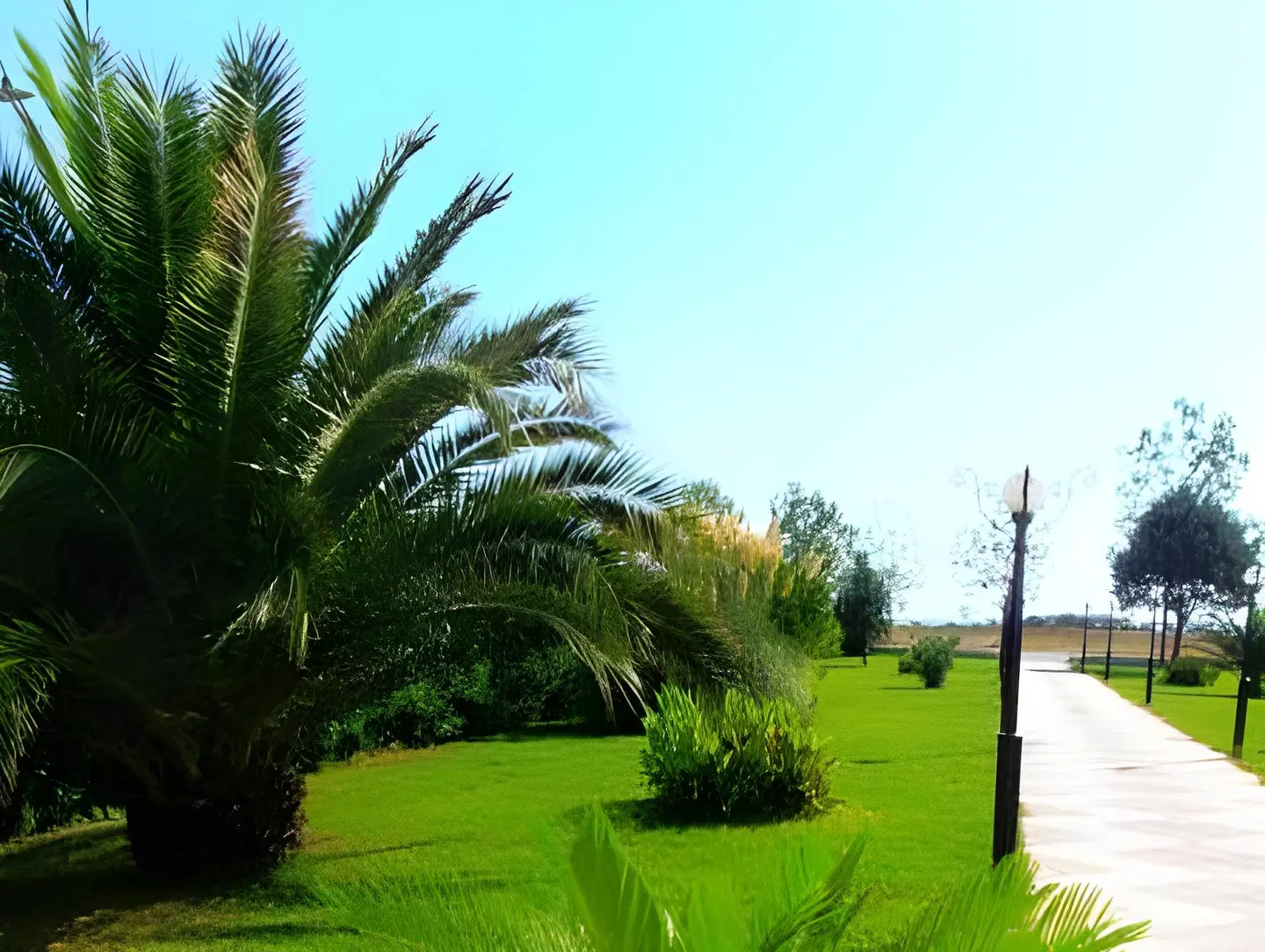 Oasis Garten