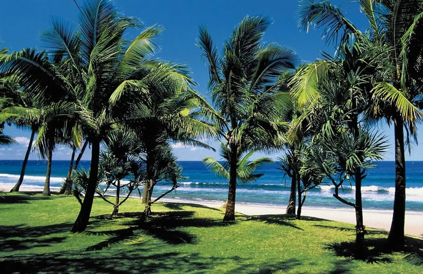 La Réunion zum Genießen Garten