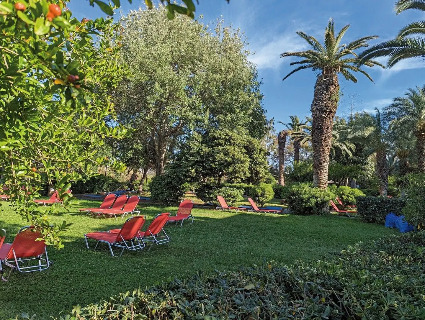 Apollonia Beach Resort & Spa Garten