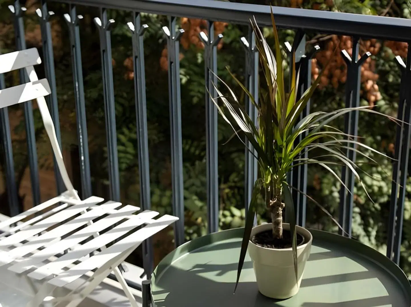 PAME Paradiso Terrasse