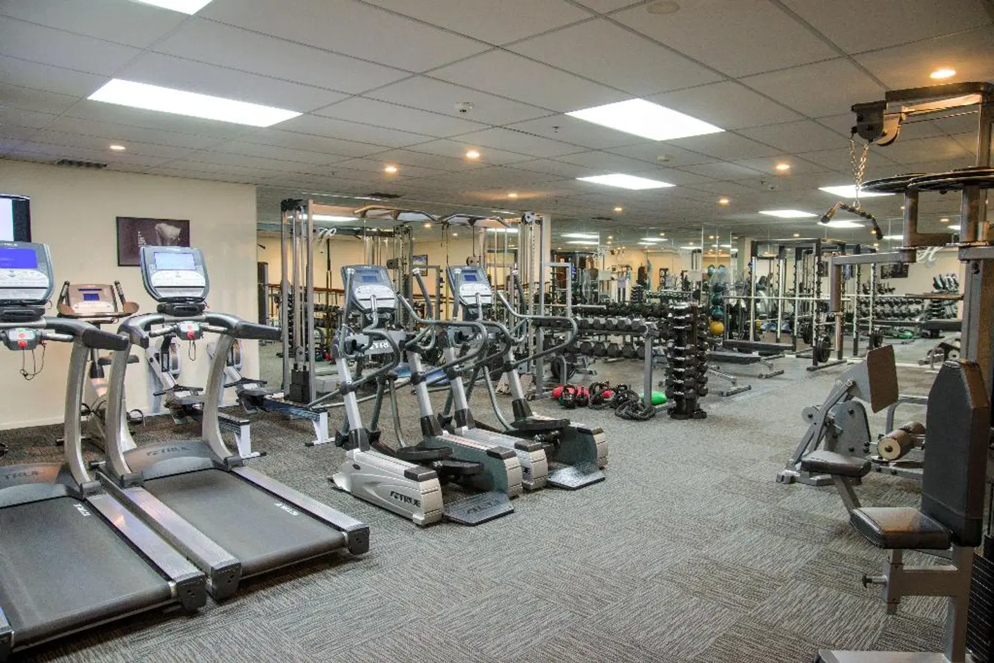 Heritage Christchurch SPORTS_AND_LEISURE
