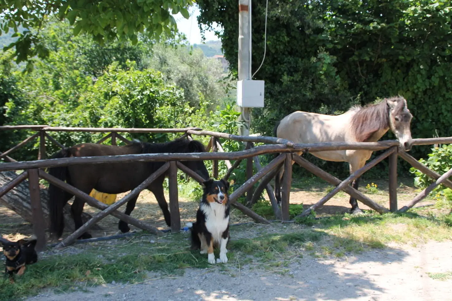 Agriturismo Piccolo Paradiso Tiere