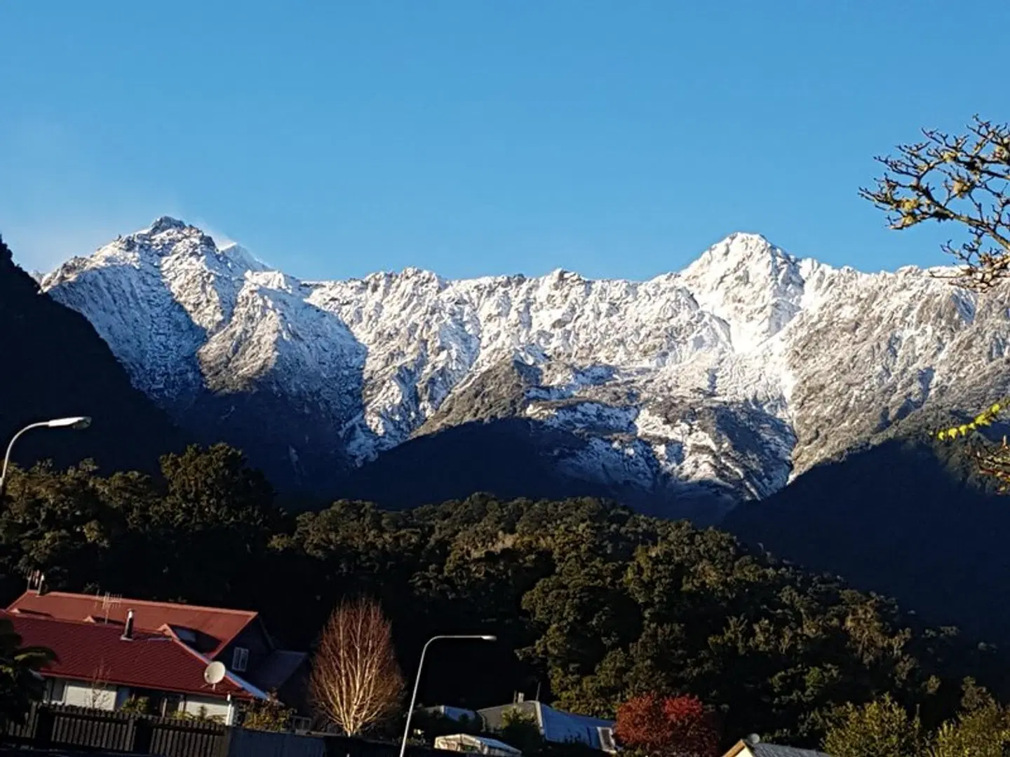 Lake Matheson Motel LANDSCAPE