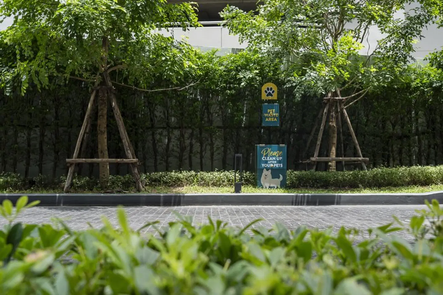 Staybridge Suites Bangkok Sukhumvit by IHG OUTDOOR_POOL