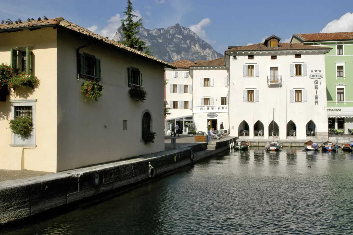 Geier EXTERIOR
