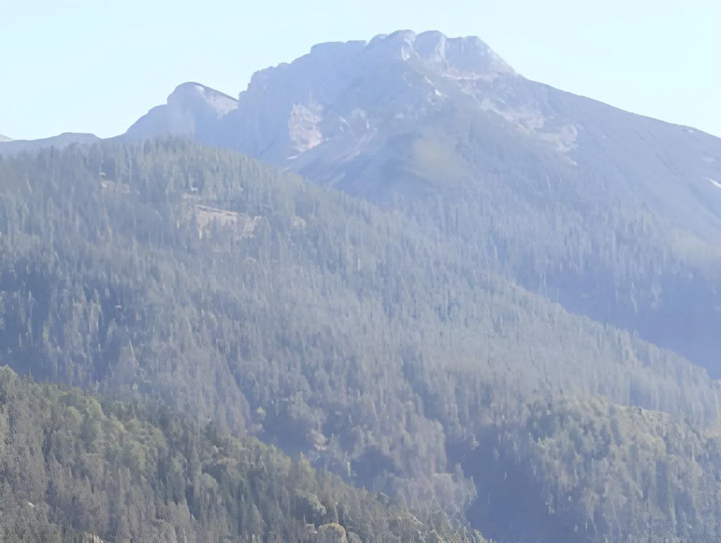 Das Landhaus am See LANDSCAPE