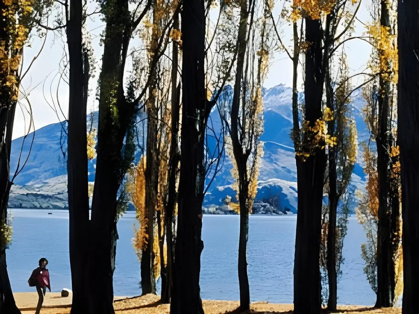 Distinction Wanaka Alpine Resort LANDSCAPE